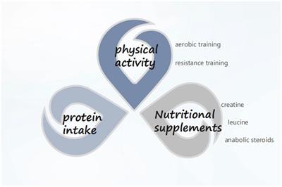 Advances in nutritional metabolic therapy to impede the progression of critical illness